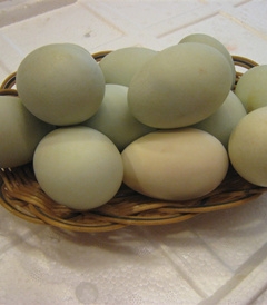 鹹鴨蛋價格